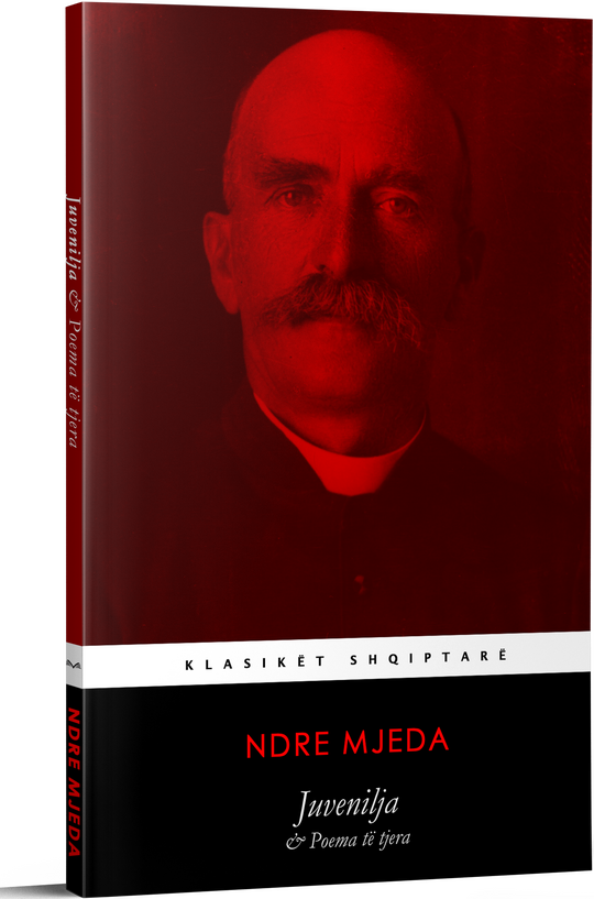 ndre_mjeda_juvenilja